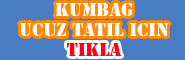 kumbağ pansiyon